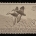 U.S. Stamps SCOTT #RW-7, $1 GRAY, MNG – CATALOG VALUE $60