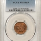 Indian 1901 INDIAN CENT – PCGS MS-64 BN, LOOKS RB!