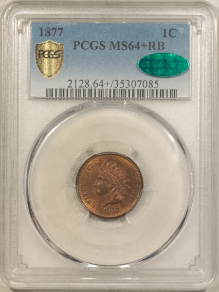 CAC Approved Coins 1877 INDIAN CENT PCGS MS-64+ RB, CAC APPROVED, FRESH PREMIUM QUALITY, LOOKS GEM!