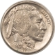 Buffalo Nickels 1919 BUFFALO NICKEL – HIGH GRADE, NEARLY UNCIRCULATED, LOOKS CHOICE!