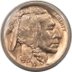 Buffalo Nickels 1937 BUFFALO NICKEL – UNCIRCULATED GEM!