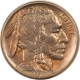 Buffalo Nickels 1919 BUFFALO NICKEL – UNCIRCULATED! LOOKS GEM! PRETTY!