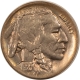 Buffalo Nickels 1920 BUFFALO NICKEL – UNCIRCULATED!