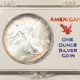 American Silver Eagles 1993 $1 AMERICAN SILVER EAGLE, 1 OZ .999, LOVELY BRILLIANT UNCIRCULATED IN CASE!