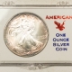 American Silver Eagles 1993 $1 AMERICAN SILVER EAGLE, 1 OZ .999, LOVELY BRILLIANT UNCIRCULATED IN CASE!